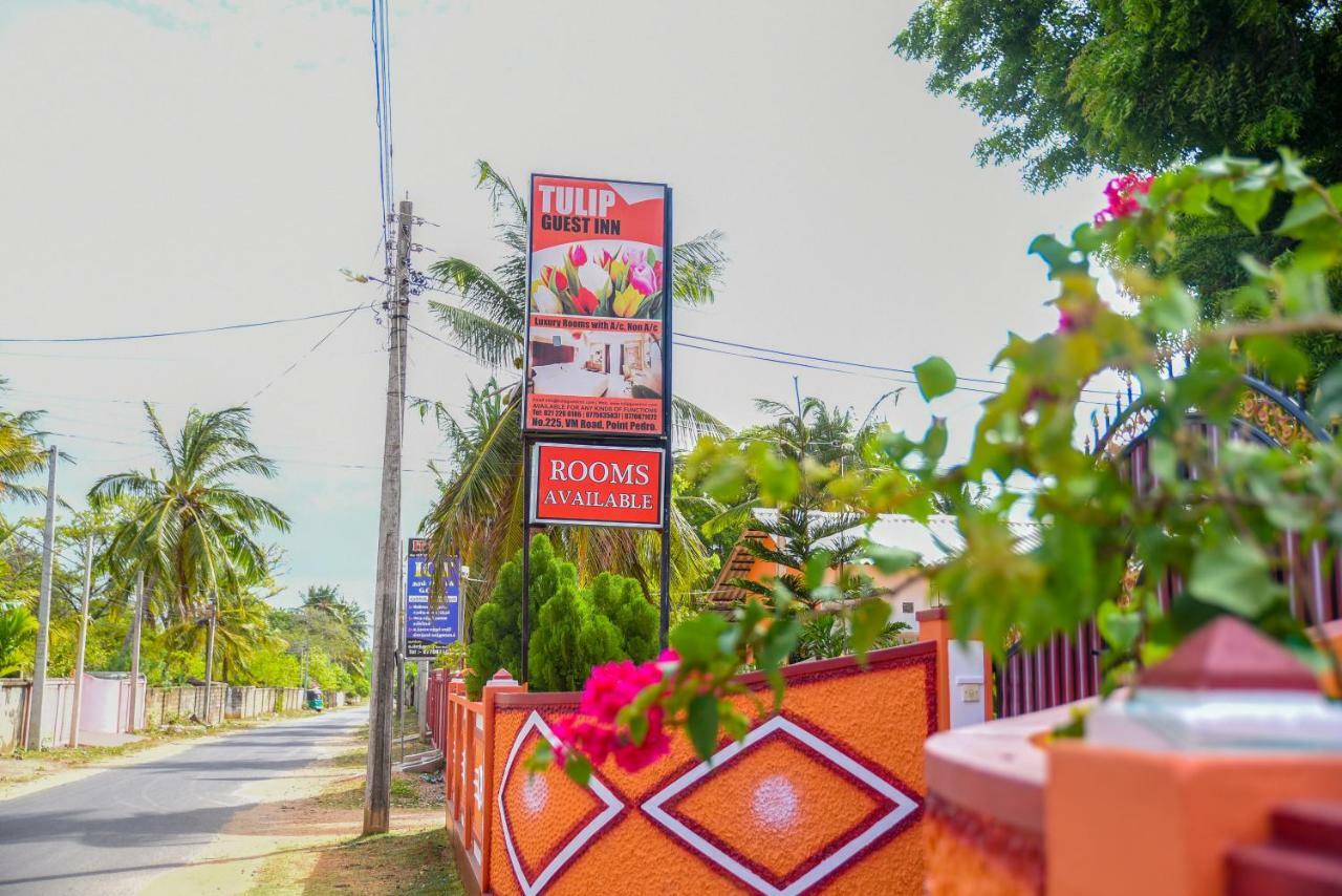 Tulip Guest Inn Point Pedro Luaran gambar